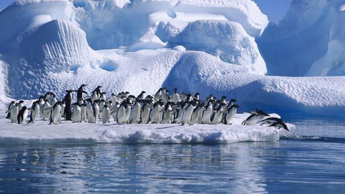 Fakta Unik Tentang Benua Antartika