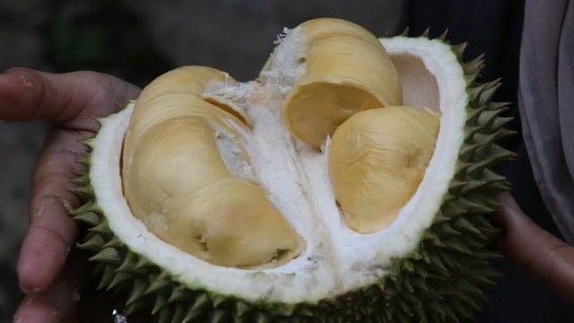 Efek Samping Makan Durian Terlalu Banyak