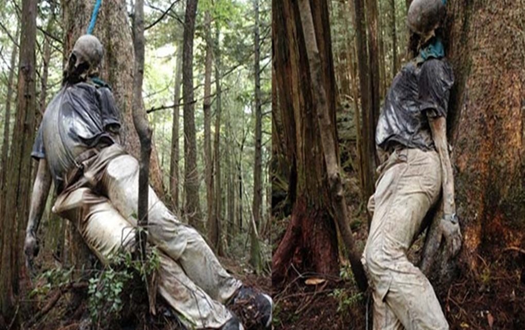 Hutan Aokigahara Tempat Favorit Orang Bunuh Diri