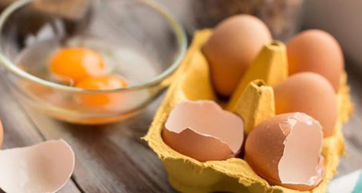 Tips Hilangkan Bau Amis Telur