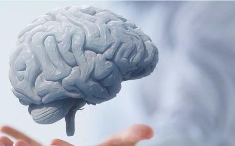 Cara Mudah untuk Mencegah Otak Menjadi Tumpul