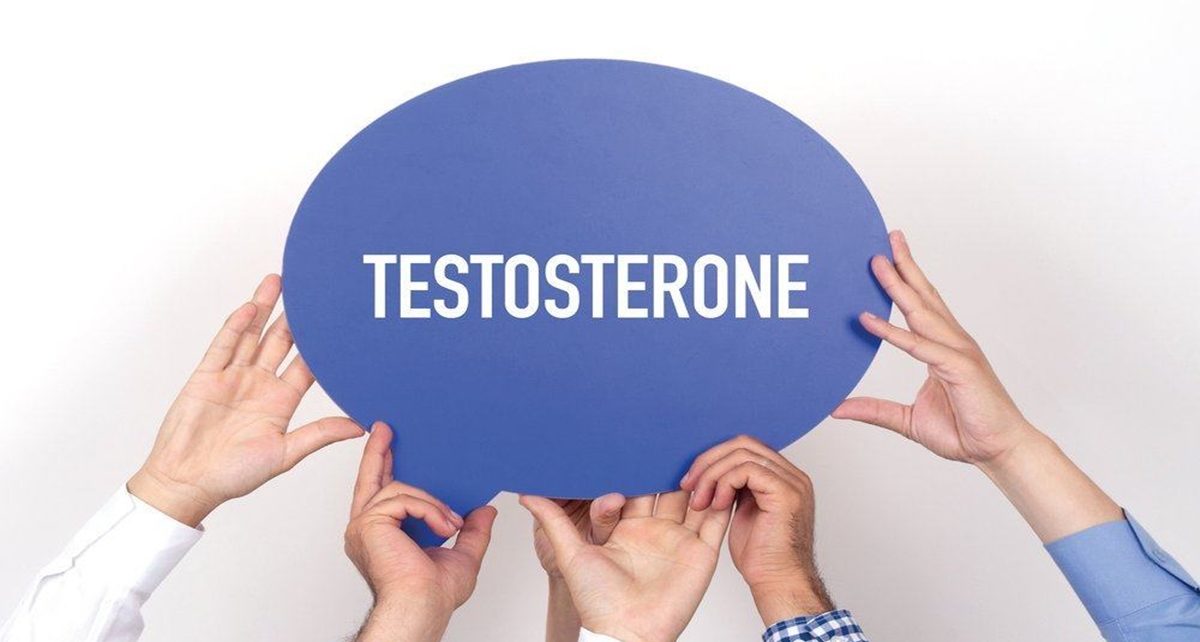 4 Fungsi Testosteron