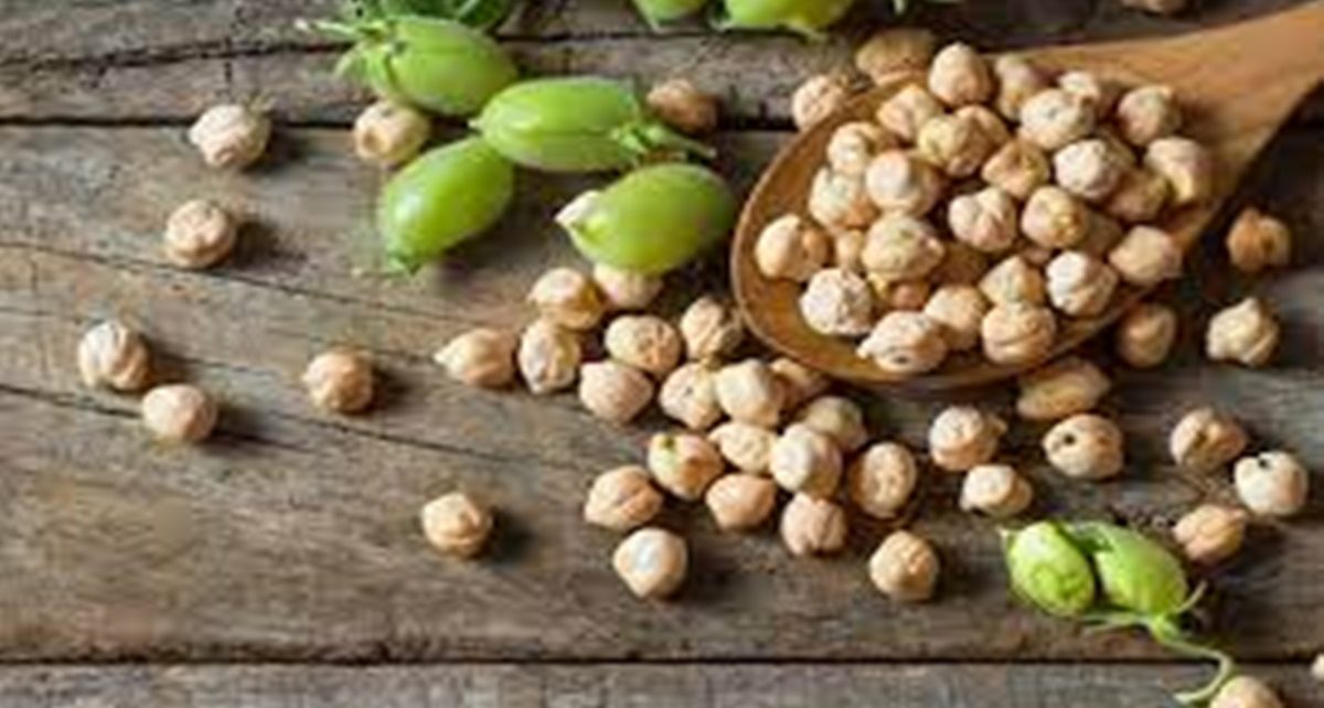 10 Manfaat Kacang Arab untuk Kesehatan, Sumber Mineral Penting