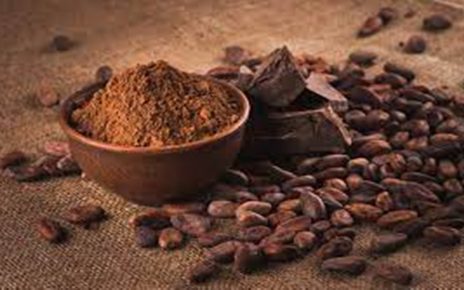 6 Manfaat Bubuk Kakao untuk Kesehatan Tubuh, Si Bahan Dasar Pembuat Cokelat
