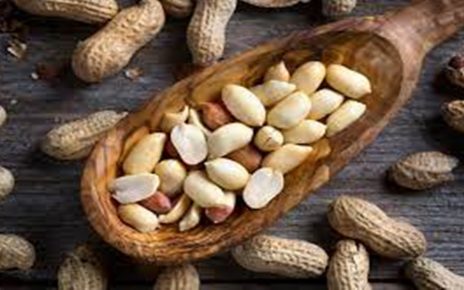 13 Manfaat Kacang Tanah, di Antaranya Cegah Penyakit Jantung dan Tingkatkan Kesuburan